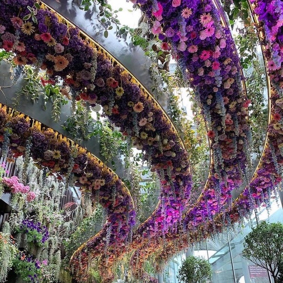 Meet your Posher - Wendy ππ¦π - Picture 3 of 5